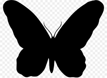 Butterfly, Silhouette, Insect, White PNG