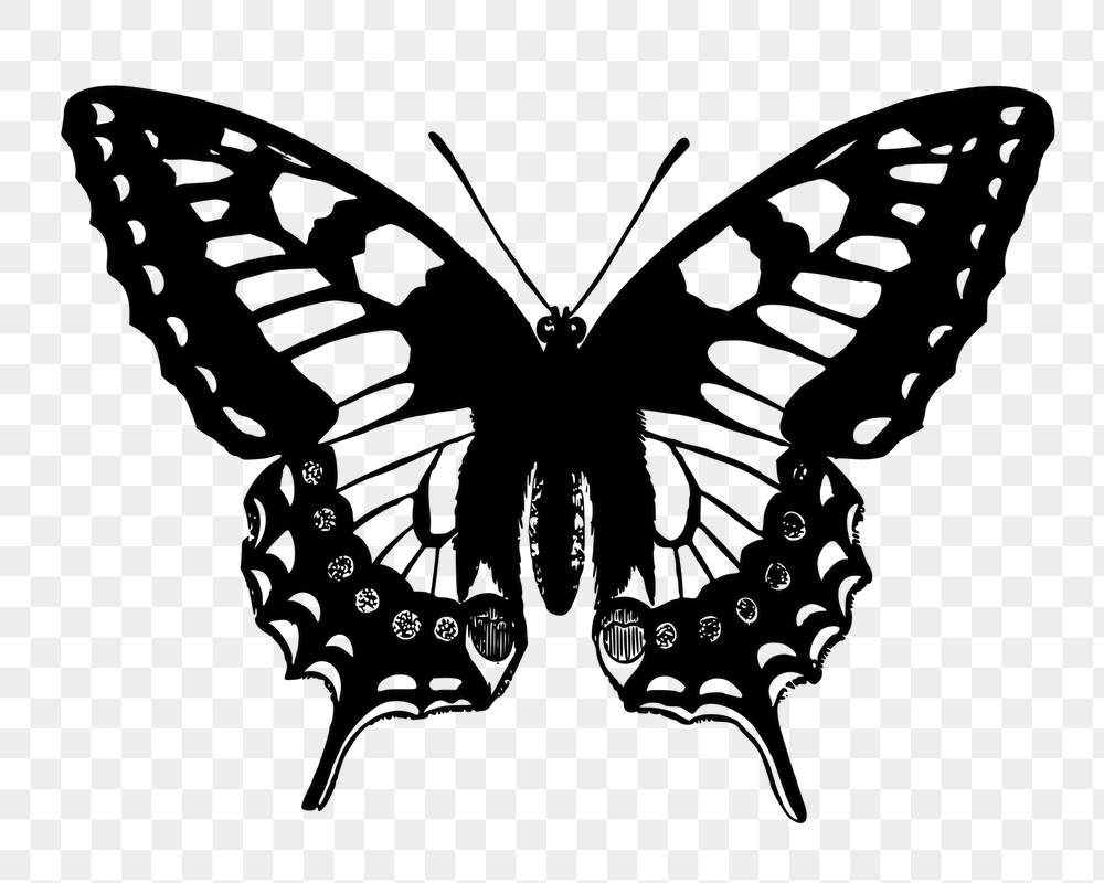 Butterfly silhouette png sticker, insect | Free PNG - rawpixel