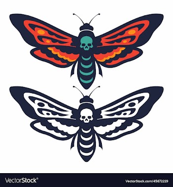 butterfly skull