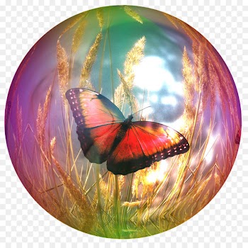 Butterfly Soap bubble KGuru Quest Image Portable Network Graphics - butterfly 