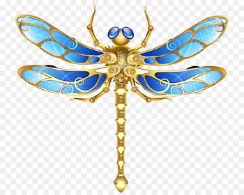 Butterfly Steampunk Coloring Bee Dragonfly - Color dragonfly 