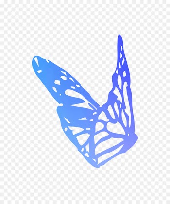 Butterfly Stencil Drawing Looking for Alaska Image -  