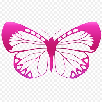 Butterfly Sticker Wall decal Polyvinyl chloride - butterfly 
