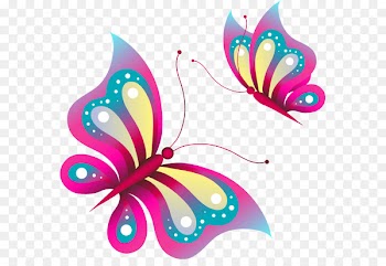 Butterfly Stock photography Drawing Image Illustration - fruits perceur papillon 