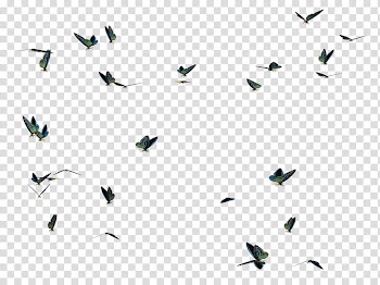 Butterfly Swarm , black and white abstract transparent background PNG clipart