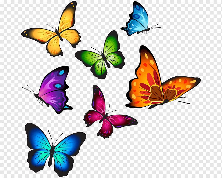 Butterfly T-shirt, watercolor butterfly, brush Footed Butterfly, symmetry, insects png