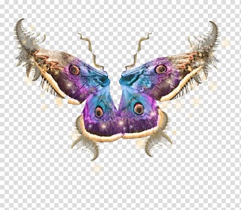 Butterfly Tooth Fairy Portable Network Graphics , painting autumn fairy wings transparent background PNG clipart