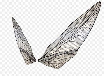 Butterfly Transparency and translucency Clip art - 3D transparent wings 