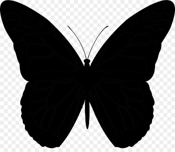 Butterfly Vector graphics Clip art Cdr Portable Network Graphics -  