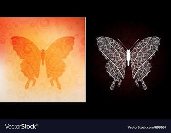 Butterfly vector image