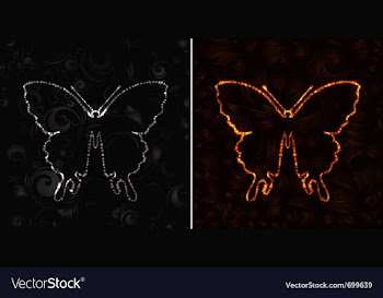 Butterfly vector image
