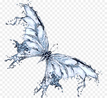 Butterfly Water Clip art - Liquid Butterfly 