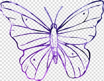 Butterfly , watercolor butterfly transparent background PNG clipart