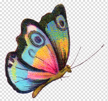 Butterfly , watercolor butterfly transparent background PNG clipart