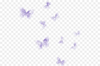 Butterfly Watercolor painting Art - butterfly 