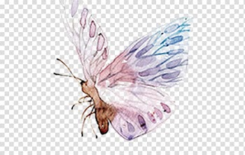 Butterfly Watercolor painting Cartoon, Wind Ink butterfly creative transparent background PNG clipart