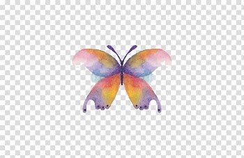 Butterfly Watercolor painting Drawing, butterfly transparent background PNG clipart