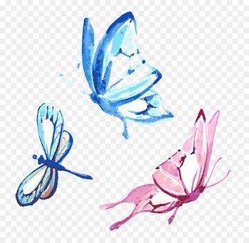 Butterfly Watercolor painting Drawing - Vector butterfly watercolor 