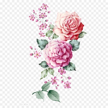 Butterfly Watercolor painting Illustration - Two teams pink peony flower HD 