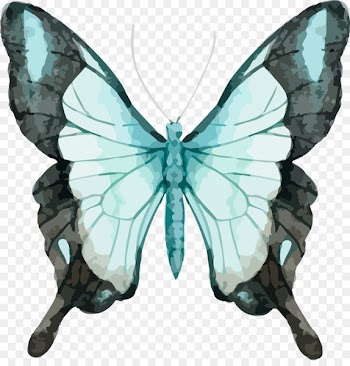 Butterfly Watercolor painting Stock photography Royalty-free - Beautiful vector butterfly watercolor 