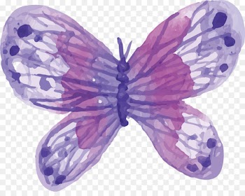 Butterfly Watercolor painting - Watercolor Purple Butterfly 