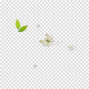 Butterfly Watercolor painting , White Butterfly transparent background PNG clipart