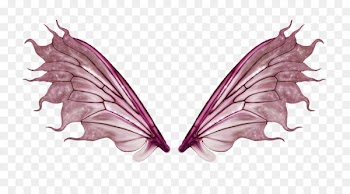 Butterfly - wing 