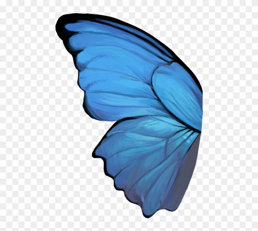 Butterfly Wing - Butterfly Wing Png