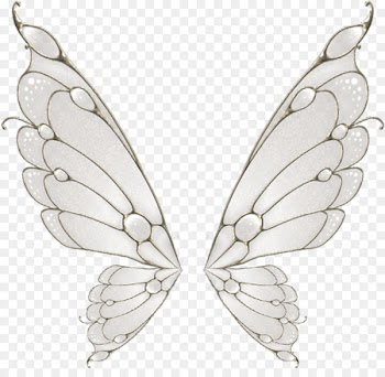 Butterfly Wing Flight Moth - Painted white butterfly wings 