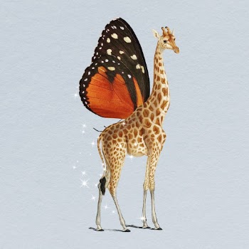 Butterfly winged giraffe clipart, surreal | Free Photo - rawpixel