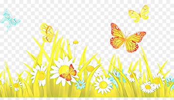 butterfly yellow moths and butterflies clip art pollinator