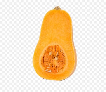 Butternut squash Cucurbita maxima Calabaza Pumpkin - Half old pumpkin 