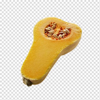 Butternut squash Cucurbita pepo Calabaza Pumpkin , Cross section cut pumpkin transparent background PNG clipart