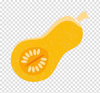 Butternut squash Food Soup Carrot, coriander transparent background PNG clipart