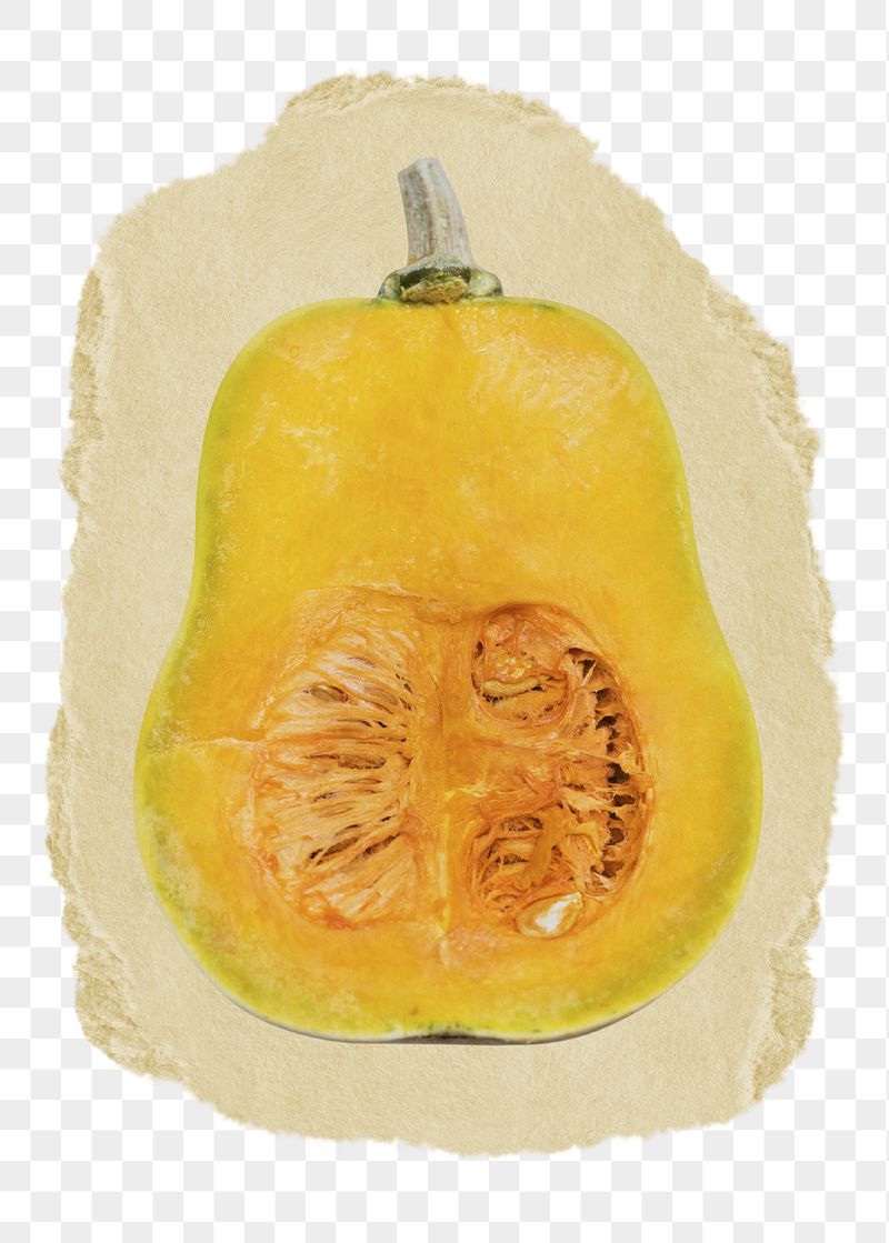 Butternut squash png sticker, ripped | Free PNG - rawpixel