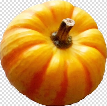 Butternut squash Pumpkin Vegetarian cuisine Calabaza Gourd, pumpkin transparent background PNG clipart