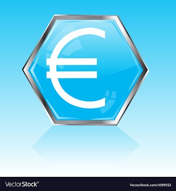 Button with sign euro vector image
