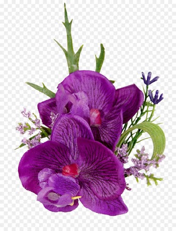 Buttonhole Moth orchids Cut flowers Floral design - purple orchid 