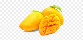 Buy Fresh Totapuri Mangoes Online Home Delivery Naturally - Transparent Background Mango Png
