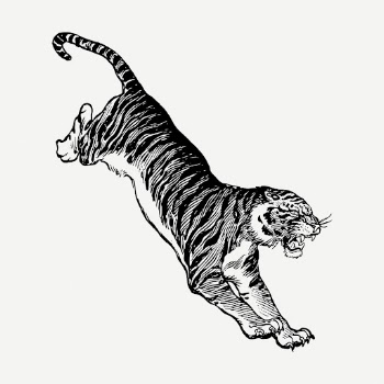 BW jumping tiger, wildlife clipart | Free PSD Illustration - rawpixel