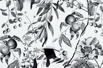 BW nature hand drawn with torn paper style | Free stock illustration | High Resolution graphic