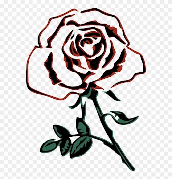 By Firkin - Sketch Of A Rose