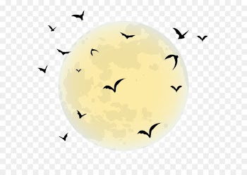 By the Light of the Halloween Moon Black moon - Halloween Moon PNG Clip Art Image 