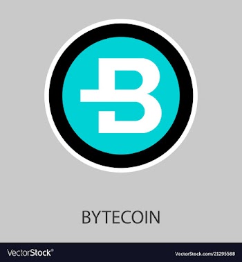 Bytecoin cryptocurrency virtual money symbol of vector image