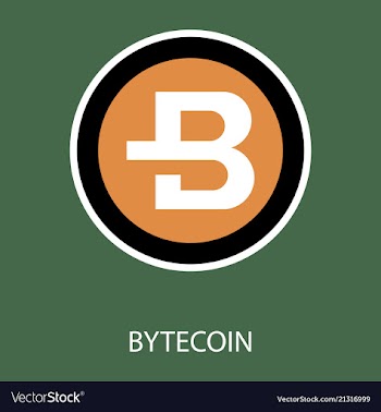 Bytecoin cryptocurrency virtual money symbol of vector image
