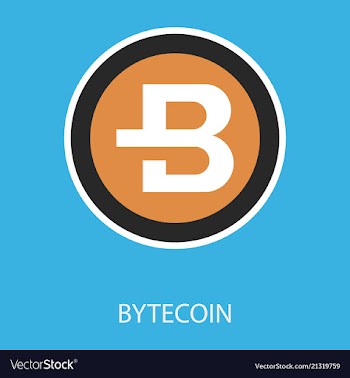 Bytecoin cryptocurrency virtual money symbol of vector image