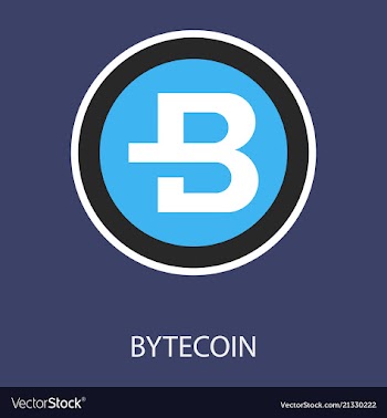 Bytecoin cryptocurrency virtual money symbol of vector image