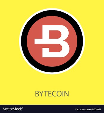 Bytecoin cryptocurrency virtual money symbol of vector image