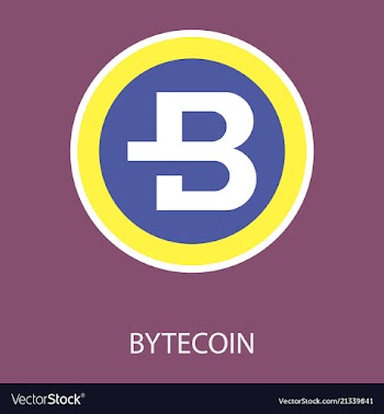 Bytecoin cryptocurrency virtual money symbol of vector image