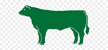 C - E - O - Natural Angus Beef, Llc - Dairy Cow
